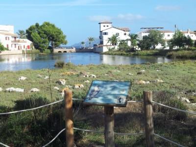 Appartamento La Gola House Port de Pollença Esterno foto